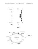 Co-expression of multiple protein chains or subunits diagram and image