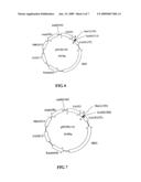 Co-expression of multiple protein chains or subunits diagram and image