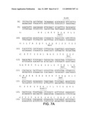 METHOD FOR MAKING INSULIN PRECURSORS AND INSULIN PRECURSOR ANALOGUES HAVING IMPROVED FERMENTATION YIELD IN YEAST diagram and image