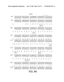 METHOD FOR MAKING INSULIN PRECURSORS AND INSULIN PRECURSOR ANALOGUES HAVING IMPROVED FERMENTATION YIELD IN YEAST diagram and image