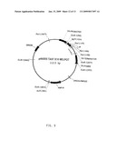 METHOD FOR MAKING INSULIN PRECURSORS AND INSULIN PRECURSOR ANALOGUES HAVING IMPROVED FERMENTATION YIELD IN YEAST diagram and image