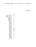 Fibroblast Growth Factor-Like Polypeptides diagram and image