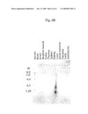 Fibroblast Growth Factor-Like Polypeptides diagram and image