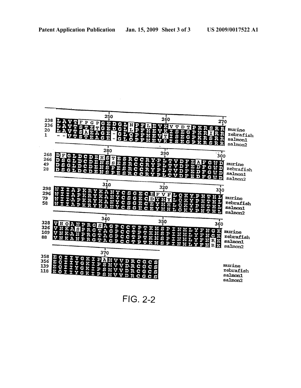 Polynucleotides Encoding Promyostatin Polypeptides - diagram, schematic, and image 04