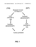 Virus purification methods diagram and image