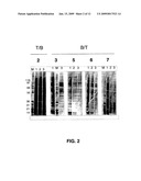 Virus purification methods diagram and image