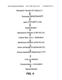 Virus purification methods diagram and image