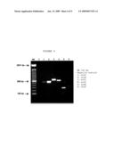 S-TRIAZINE-HERBICIDE-DEGRADING BACTERIA, PRODUCT FOR THE BIOREMEDIATION AND METHOD OF BIOREMEDIATION diagram and image