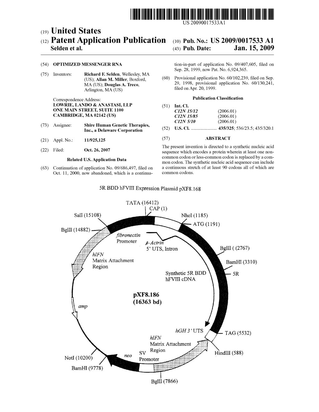 OPTIMIZED MESSENGER RNA - diagram, schematic, and image 01