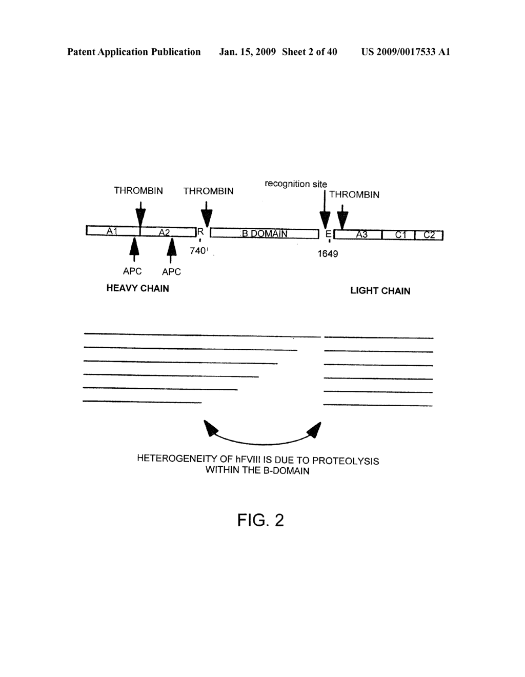 OPTIMIZED MESSENGER RNA - diagram, schematic, and image 03