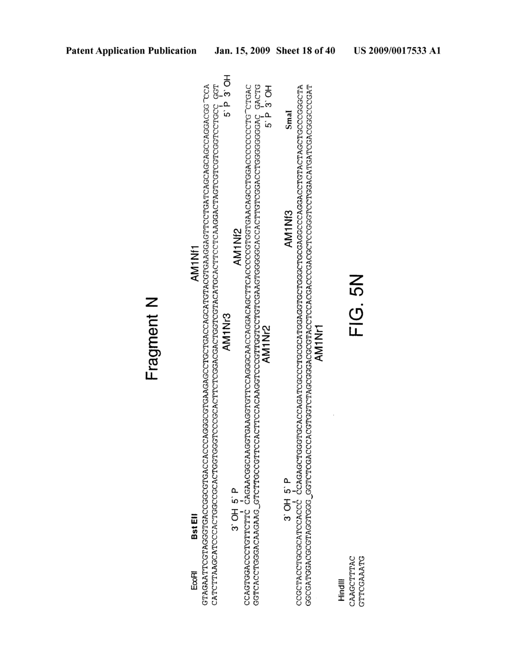 OPTIMIZED MESSENGER RNA - diagram, schematic, and image 19