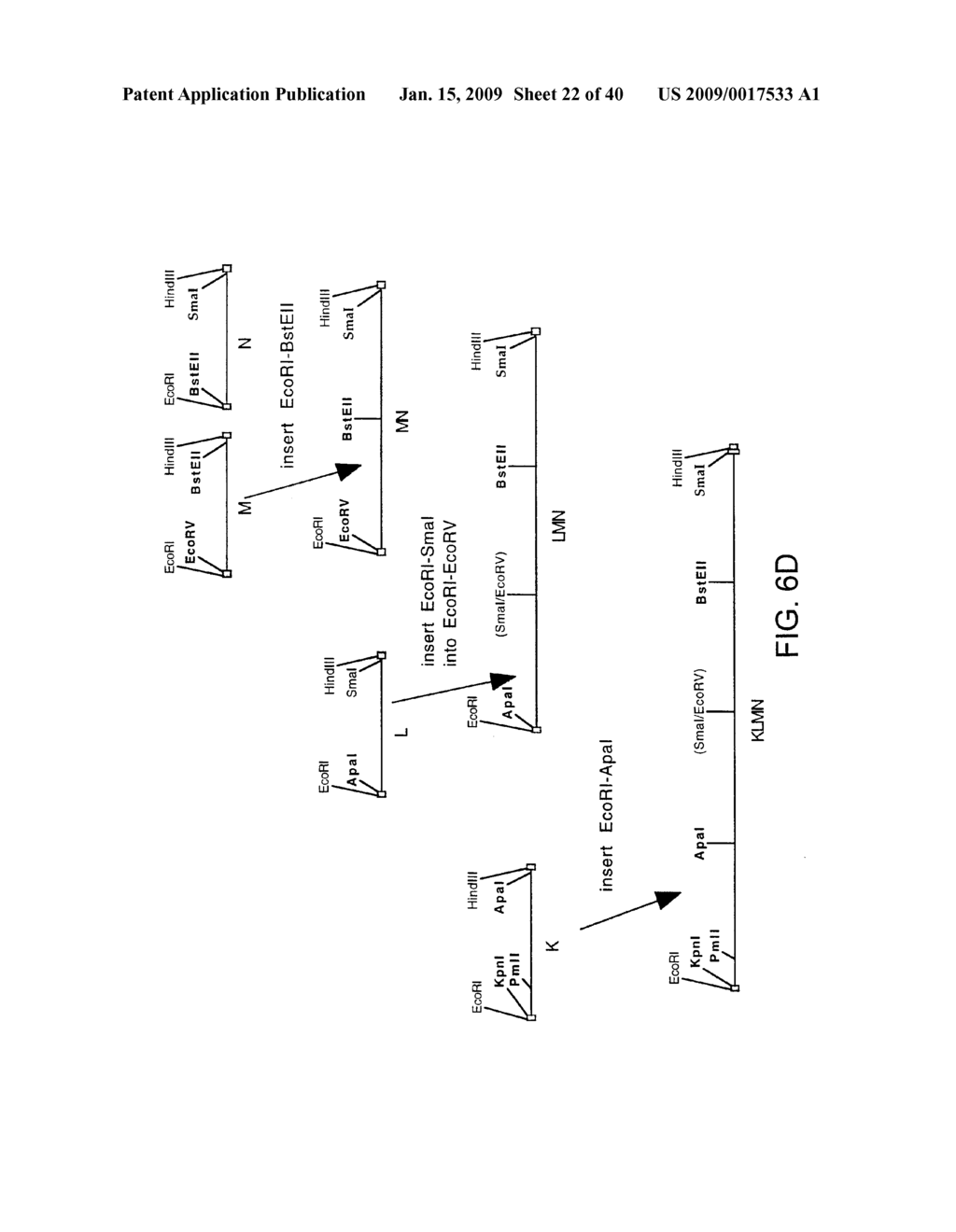 OPTIMIZED MESSENGER RNA - diagram, schematic, and image 23