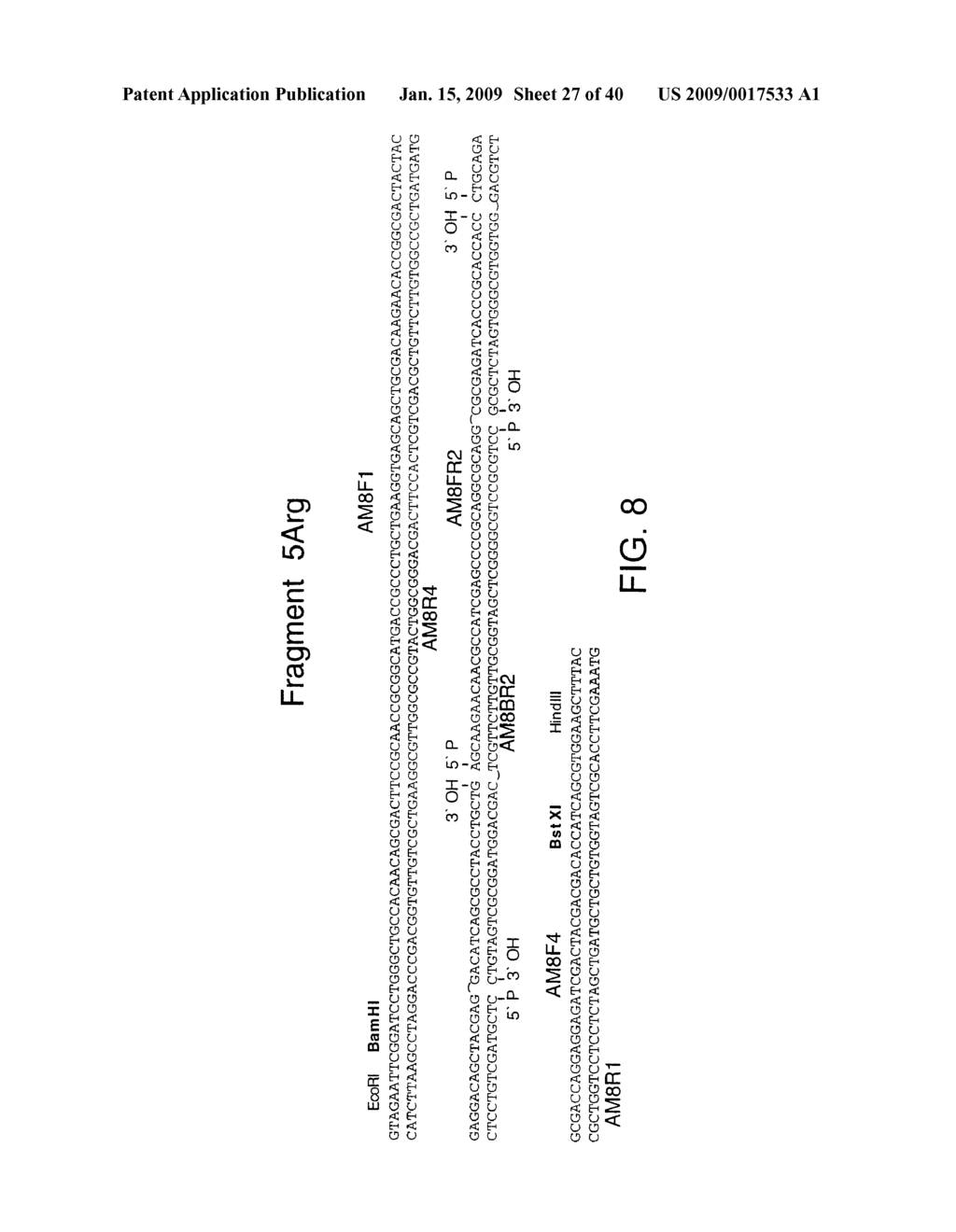 OPTIMIZED MESSENGER RNA - diagram, schematic, and image 28