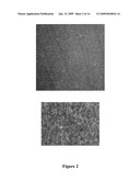 NANOGRID ROLLING CIRCLE DNA SEQUENCING diagram and image