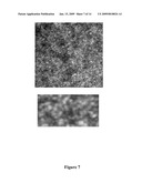 NANOGRID ROLLING CIRCLE DNA SEQUENCING diagram and image