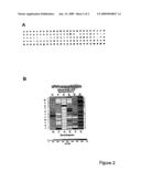 Method for Producing Chemical Microarrays diagram and image