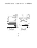 REGULATORY T CELL EPITOPES, COMPOSITIONS AND USES THEREOF diagram and image