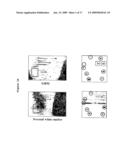 Use of phosphatases to treat tumors overexpressing N-CoR diagram and image
