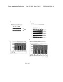 Combination Therapy with Triterpenoid Compounds and Proteasome Inhibitors diagram and image