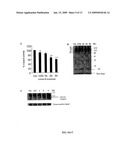 Combination Therapy with Triterpenoid Compounds and Proteasome Inhibitors diagram and image