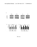 Combination Therapy with Triterpenoid Compounds and Proteasome Inhibitors diagram and image