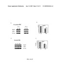 Combination Therapy with Triterpenoid Compounds and Proteasome Inhibitors diagram and image