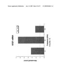 REGULATION OF VASCULAR ENDOTHELIAL GROWTH FACTOR (VEGF) GENE EXPRESSION IN TISSUE VIA THE APPLICATION OF ELECTRIC AND/OR ELECTROMAGNETIC FIELDS diagram and image