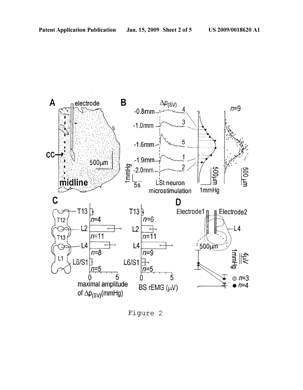 METHOD FOR RESTORING AN EJACULATORY FAILURE - diagram, schematic, and image 03