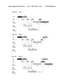 SCHEDULING METHOD AND PROGRAM FOR A SUBSTRATE TREATING APPARATUS diagram and image