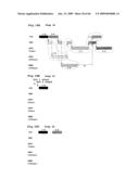 SCHEDULING METHOD AND PROGRAM FOR A SUBSTRATE TREATING APPARATUS diagram and image