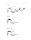 SCHEDULING METHOD AND PROGRAM FOR A SUBSTRATE TREATING APPARATUS diagram and image