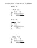 SCHEDULING METHOD AND PROGRAM FOR A SUBSTRATE TREATING APPARATUS diagram and image