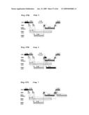 SCHEDULING METHOD AND PROGRAM FOR A SUBSTRATE TREATING APPARATUS diagram and image