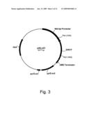 Polypeptides having cellulolytic enhancing activity and polynucleotides encoding same diagram and image