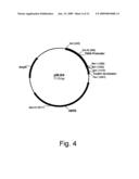 Polypeptides having cellulolytic enhancing activity and polynucleotides encoding same diagram and image