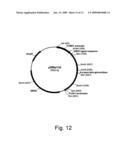 Polypeptides having cellulolytic enhancing activity and polynucleotides encoding same diagram and image