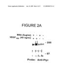 Combination methods of inhibiting tumor growth with a vascular endothelial growth factor receptor antagonist diagram and image