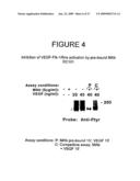 Combination methods of inhibiting tumor growth with a vascular endothelial growth factor receptor antagonist diagram and image