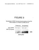 Combination methods of inhibiting tumor growth with a vascular endothelial growth factor receptor antagonist diagram and image