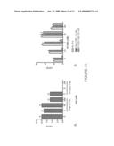 Antibodies that bind human protein tyrosine phosphatase beta (HPTPbeta) and uses thereof diagram and image