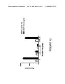 Antibodies that bind human protein tyrosine phosphatase beta (HPTPbeta) and uses thereof diagram and image