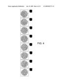 BIOMATERIAL diagram and image