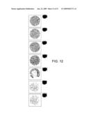 BIOMATERIAL diagram and image