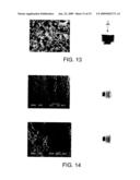 BIOMATERIAL diagram and image