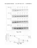 Nanoparticle and polymer formulations for thyroid hormone analogs, antagonists and formulations and uses thereof diagram and image