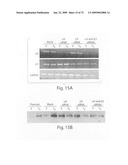 Nanoparticle and polymer formulations for thyroid hormone analogs, antagonists and formulations and uses thereof diagram and image