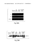 Nanoparticle and polymer formulations for thyroid hormone analogs, antagonists and formulations and uses thereof diagram and image