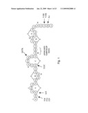 ANTIMICROBIAL CONSTRUCTS diagram and image