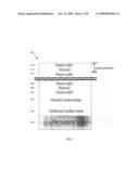 Ultrahard multilayer coating comprising nanocrystalline diamond and nanocrystalline cubic boron nitride diagram and image