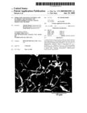 OXIDE-TYPE, MAGNETIC MATERIAL AND ITS PRODUCTION METHOD, AND SINTERED FERRITE MAGNET AND ITS PRODUCTION METHOD diagram and image